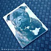 Staffie Magnetic Notepad